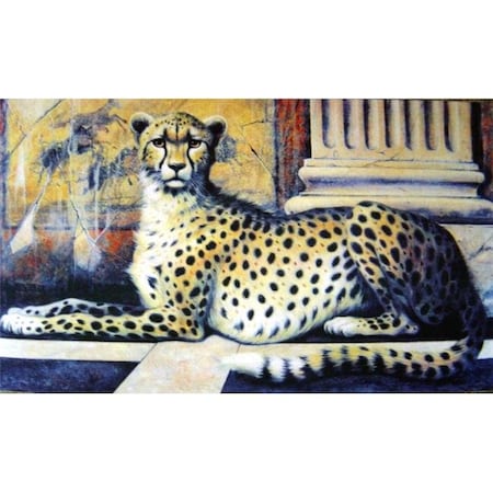 Custom Printed Rugs Custom Printed Rugs DM  10 Cheetah Door Mat DM  10